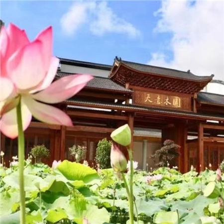 益陽(yáng)天意木國(guó)木文化博物館、金家堤、一碑五館一日游